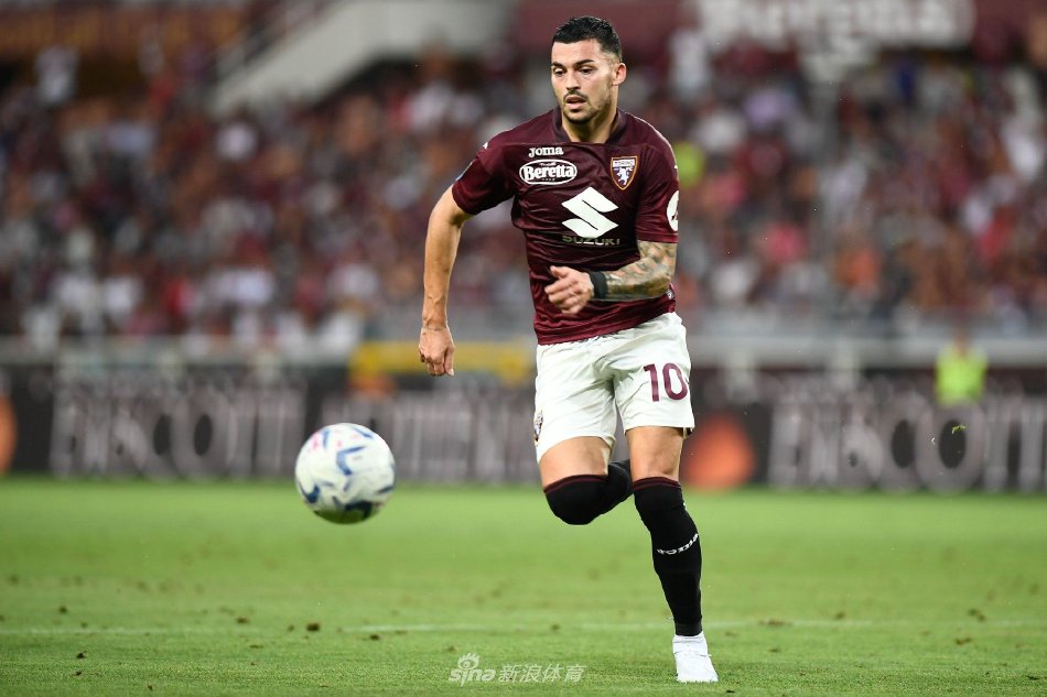 的训练计划 的训练计划